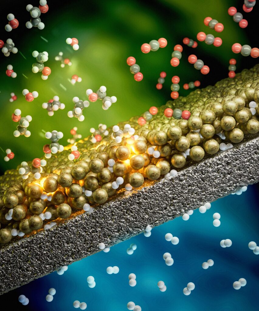 Hydrogen Production and Separation by Pd-based Membrane Reactor