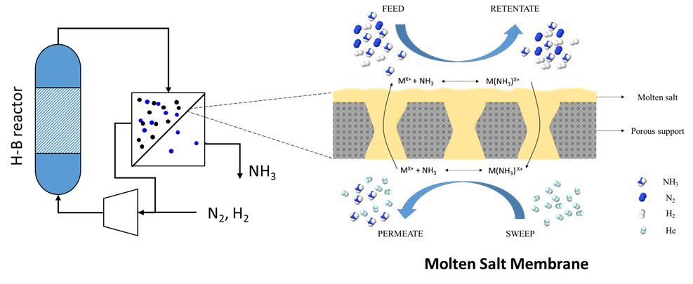 Ammonia Separation with Molten Salt Membrane