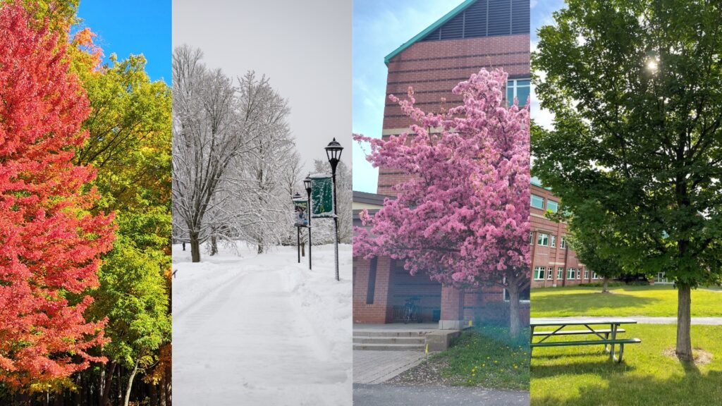 Nature throughout the seasons.