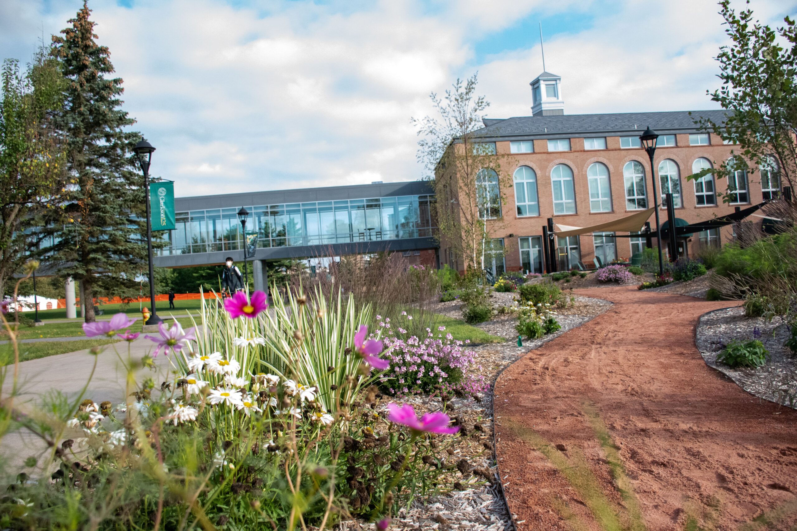 A wildflower garden near a brown sandy path behind Clarkson's student center, a brick building.