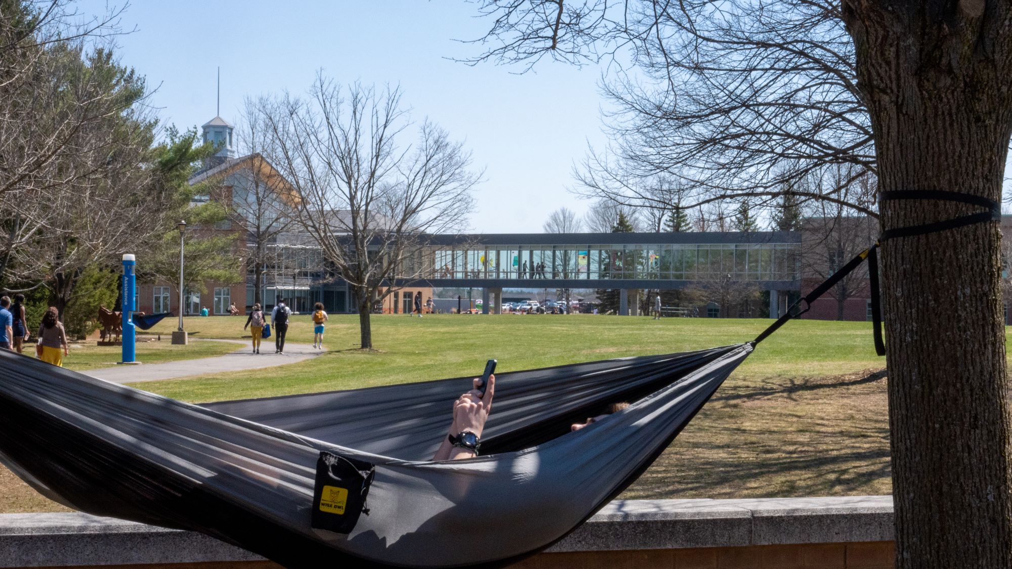 A young man on his phone in a hammock.