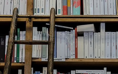 Shelves with books and ladder